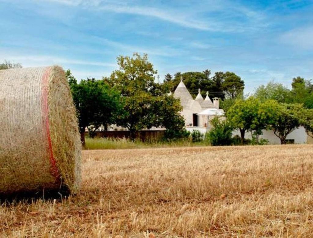 Trulli Delle Rose Villa Мартина Франка Екстериор снимка